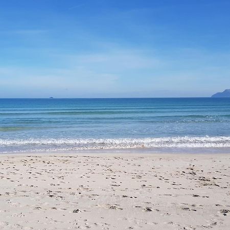 פורט ד'אלקודיה Ideal Property Mallorca - Primavera מראה חיצוני תמונה
